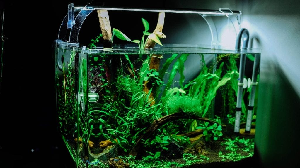 a fish tank with lighting
